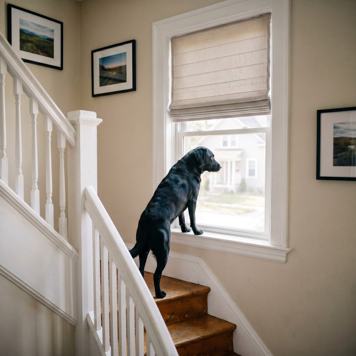 Waterproof and Flame-Retardant Roman Shades | Basic